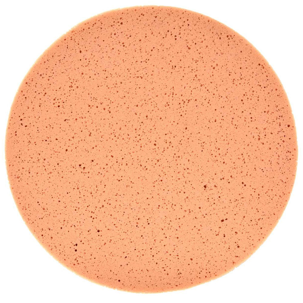 Špongia pre brúsku na vyhladzovanie cementu a omietky