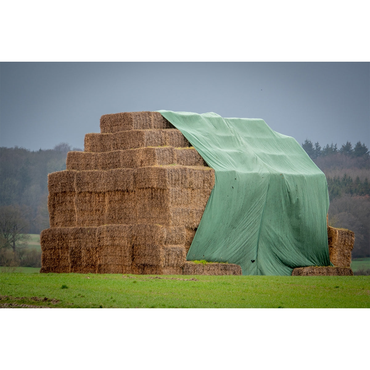 Krycia plachta na balíky sena, 12x25m, zelená, 140g, Breckner Germany
