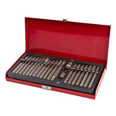 Sada bitov imbus Torx XZN Hex Spline 40ks, kovová kazeta