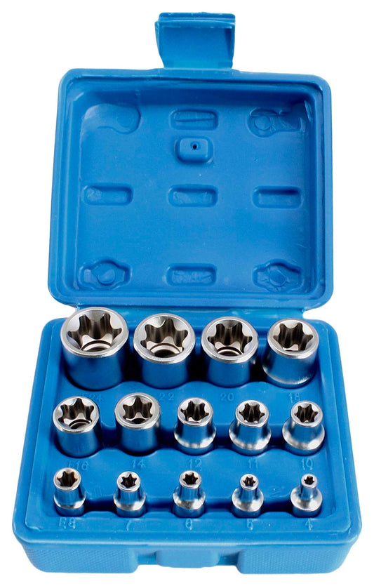 Sada nástrčných hlavíc - kľúčov E-TORX E4 - E24, 1/4'', 3/8'', 1/2'', 14ks